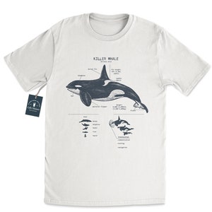 Killer Whale Anatomy T shirt, Orca T Shirt, Dolphin Shirt, Marine Biology T shirt Beach Shirt Marine Biologist Gifts, Dolphin Gifts