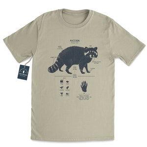 Raccoon Anatomy T shirt, Raccoon T Shirt, Biologist Gifts, Wildlife T Shirt, Raccoon Gift, Outdoors T shirt, Vintage Raccoon Shirt