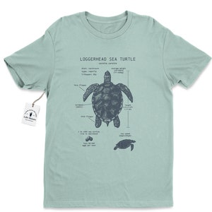 Loggerhead Sea Turtle Anatomy T Shirt, Loggerhead T-shirt, Sea Turtle Gifts, Marine Biologist T Shirt, Vintage Sea Turtle Print