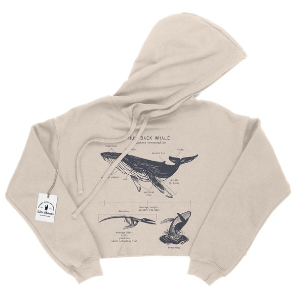 Humpback Whale Anatomy Cropped Hoodie, Marine Biology Whale Sweatshirt, Humpback Whale Hoodie, Humpback Gifts