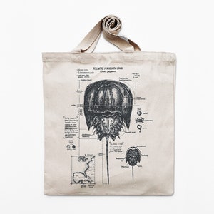 Atlantik Pfeilschwanzkrebs Baumwoll Leinen Tragetasche, Meeresbiologie Strandtasche, Handgezeichneter Pfeilschwanzkrebs Siebdruck