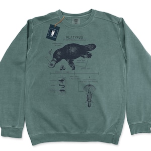 Platypus Anatomy Sweatshirt, Duck Billed Platypus Sweatshirt, Biologist Gift, Australian Sweater, Science Sweatshirt, Platypus Gifts