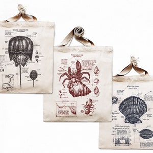 Kolekcja toreb Coastal – Rysunki z biologii morskiej – Torby płócienne bawełniane z nadrukiem sitodrukowym