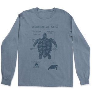 Sea Turtle Anatomy Long Sleeve, Loggerhead Sea Turtle Shirt, Marine Biologist Gift, Turtle Long Sleeve, Diver Shirt, Sea Turtle Gift