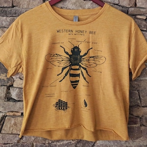 LIMITED EDITION Crop Top, Bee Anatomy, Western Honey Bee Crop Top, Screen Printed Bee Shirt, Nature Crop Top, Bee Biology Drawing