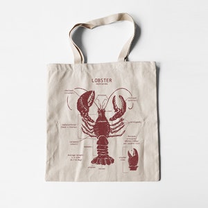 Lobster Anatomy Canvas Tote Bag, Lobster Tote Bag, Marine Biology Lobster Bag, Lobster Beach Bag, Boating Tote Bag, Lobster Biology Art