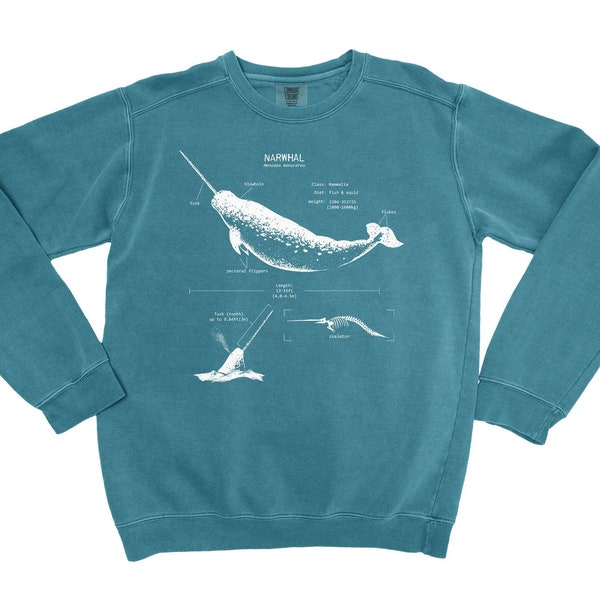 Narwhal Anatomy Sweatshirt, Marine Biologist Sweatshirt, Biologist Gifts, Whale Sweatshirt, Beach Cover Up, Wildlife Sweater