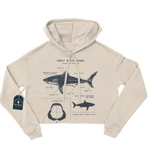 Great White Shark Anatomy Cropped Hoodie, Marine Biologist Sweatshirt, Great White Shark Sweatshirt, Shark Gift, Marine Biologist Gift