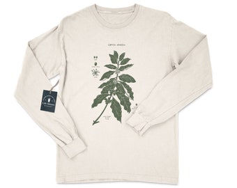 Coffee Plant Diagram Long Sleeve, Screen Printed Coffee Long Sleeve Shirt, Coffea Arabica Shirt, Coffee Botany Art