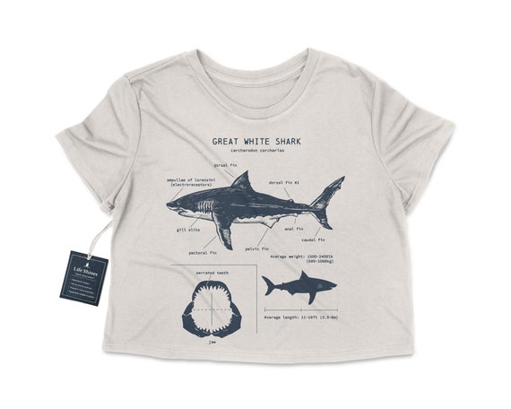 Great White Shark Anatomy Crop Top 