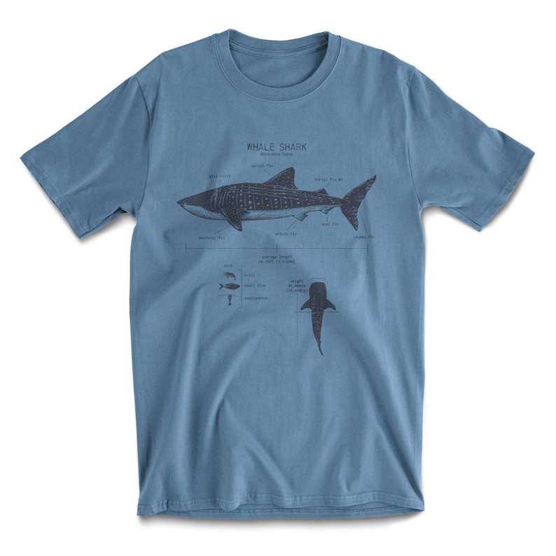 May include: A blue t-shirt with a graphic of a whale shark and anatomical details. The text "Whale Shark" is printed on the shirt.