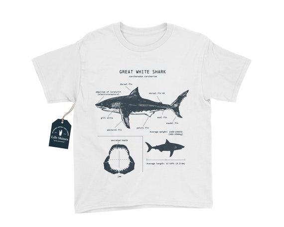 Shark gifts for kids 2025