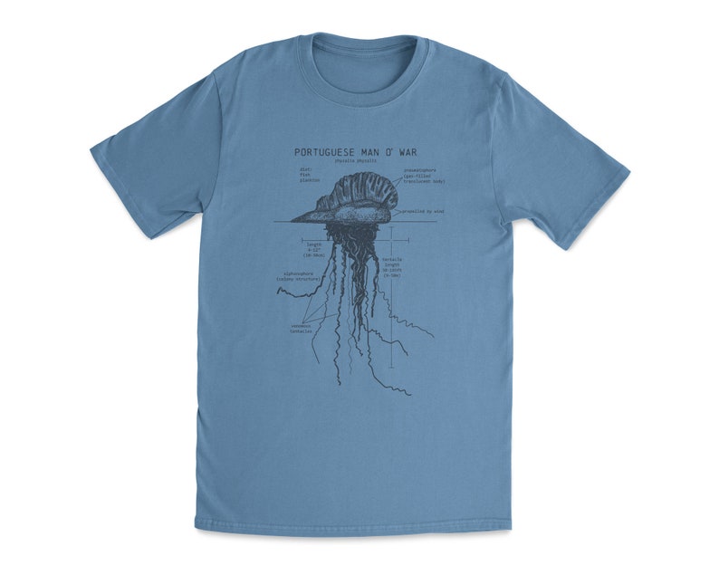 Portuguese Man O' War Anatomy T shirt, Marine Biologist T Shirt, Man O' War T Shirt, Blue Bottle Jellyfish Shirt, Vintage Beach T Shirt Pacific Blue