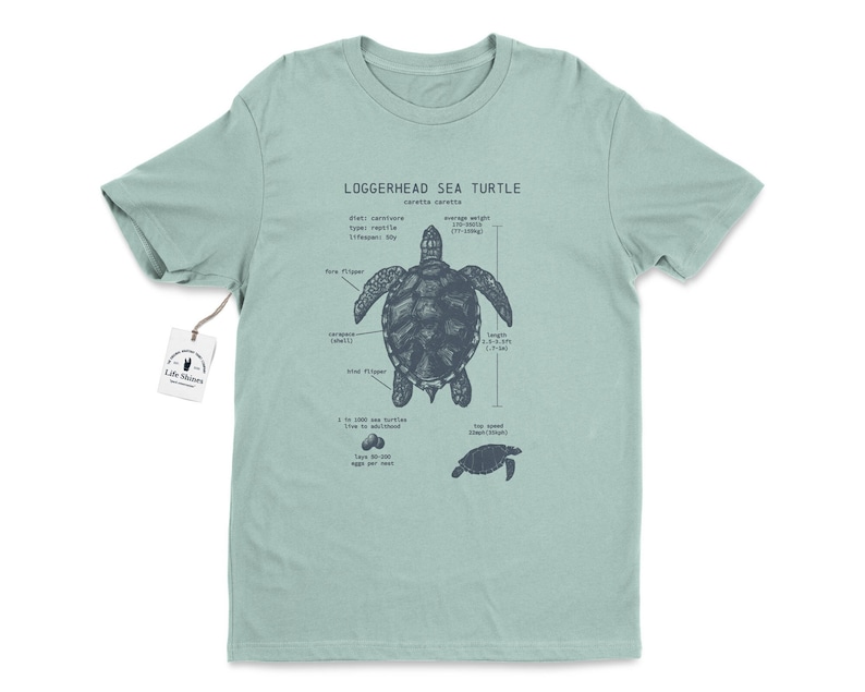 Loggerhead Sea Turtle Anatomy T Shirt, Loggerhead T-shirt, Sea Turtle Gifts, Marine Biologist T Shirt, Vintage Sea Turtle Print Seafoam Green