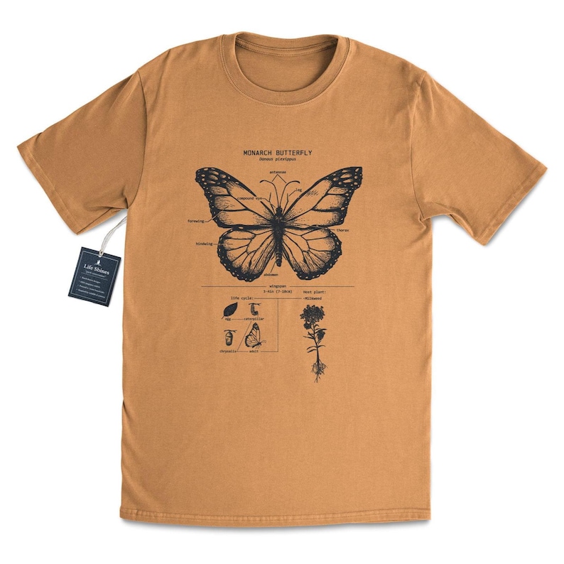 May include: A brown t-shirt with a black and white illustration of a monarch butterfly and its life cycle. The text "MONARCH BUTTERFLY Danaus plexippus" is printed on the shirt.