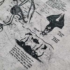 May include: A monochrome illustration depicting an osprey hunting fish, with scientific diagrams and text. The text includes information on diving speed, 48-80 kph, and hunting depth, 0-10 m. The image has a vintage aesthetic.