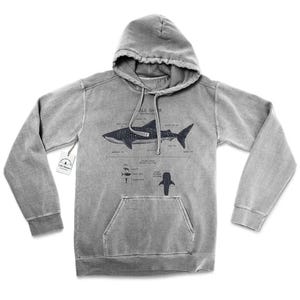 Whale Shark Anatomy Hoodie, Whale Shark Biologist Hoodie, Screen Printed Whale Shark Sweatshirt, Marine Biology Whale Shark Art image 2
