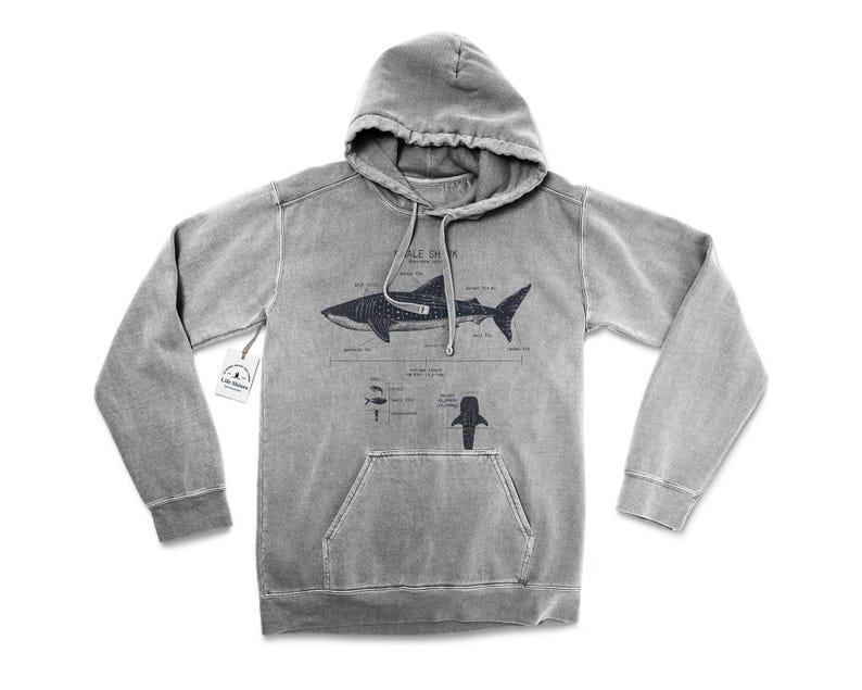 Whale Shark Anatomy Hoodie, Whale Shark Biologist Hoodie, Screen Printed Whale Shark Sweatshirt, Marine Biology Whale Shark Art image 2
