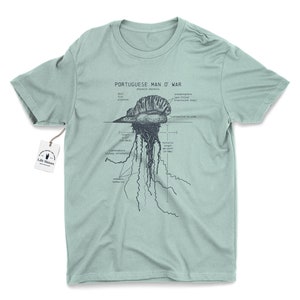 Portuguese Man O' War Anatomy T shirt, Marine Biologist T Shirt, Man O' War T Shirt, Blue Bottle Jellyfish Shirt, Vintage Beach T Shirt Seafoam Green