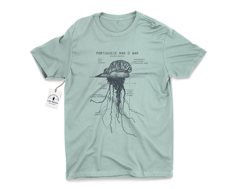 Portuguese Man O' War Anatomy T shirt, Marine Biologist T Shirt, Man O' War T Shirt, Blue Bottle Jellyfish Shirt, Vintage Beach T Shirt Seafoam Green