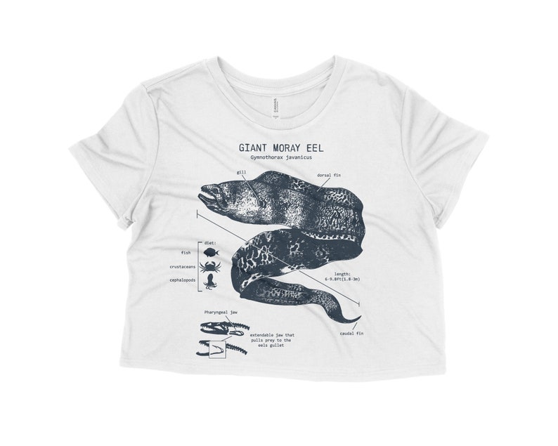Gifts for Girlfriend Marine Biology shirt Beach Crop Top Beach Cover Up Moray Eel Shirt Giant Moray Eel Anatomy Crop Top Beach Shirt