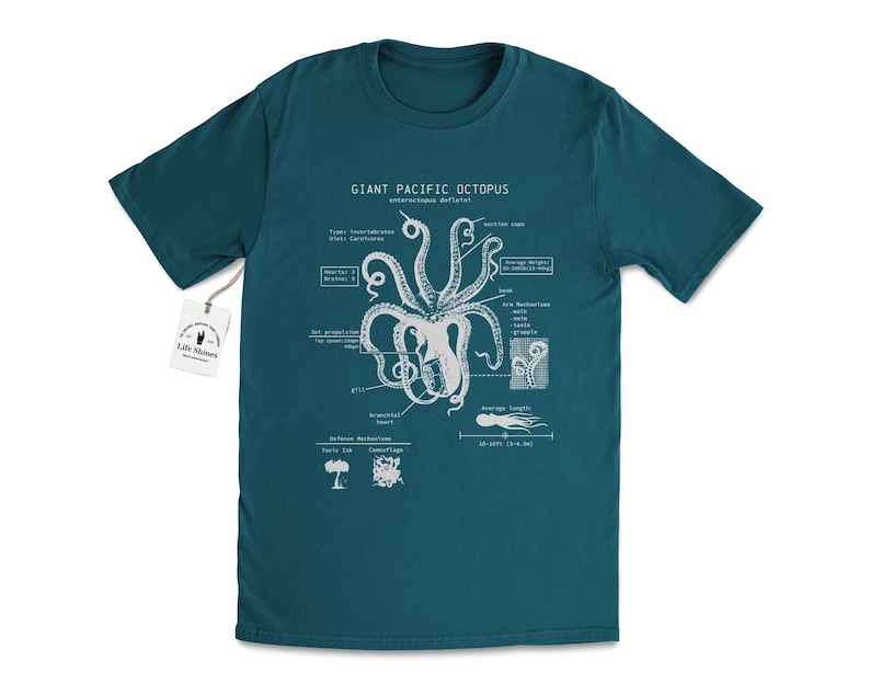 Octopus Anatomy T-shirt, Beach Tee, Octopus Shirt, Octopus Gifts, Marine Biology Gifts, Original Octopus Drawing Emerald