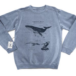 Humpback Whale Anatomy Sweatshirt, Humpback Whale Sweatshirt, Marine Biologist Sweatshirt, Humpback Whale Gifts, Original Humpback Sweater
