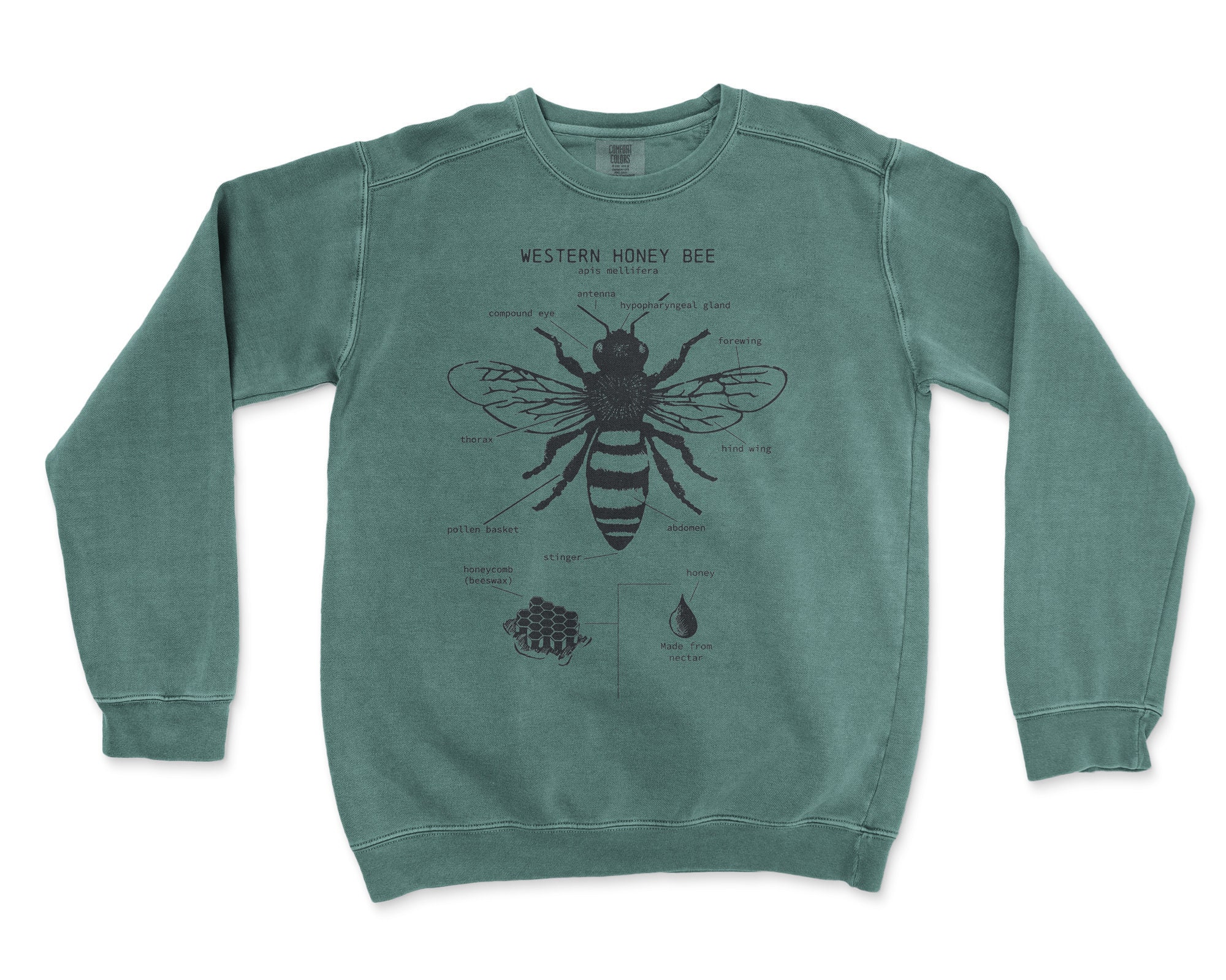 Honey Bee Anatomy Sweatshirt Bee 