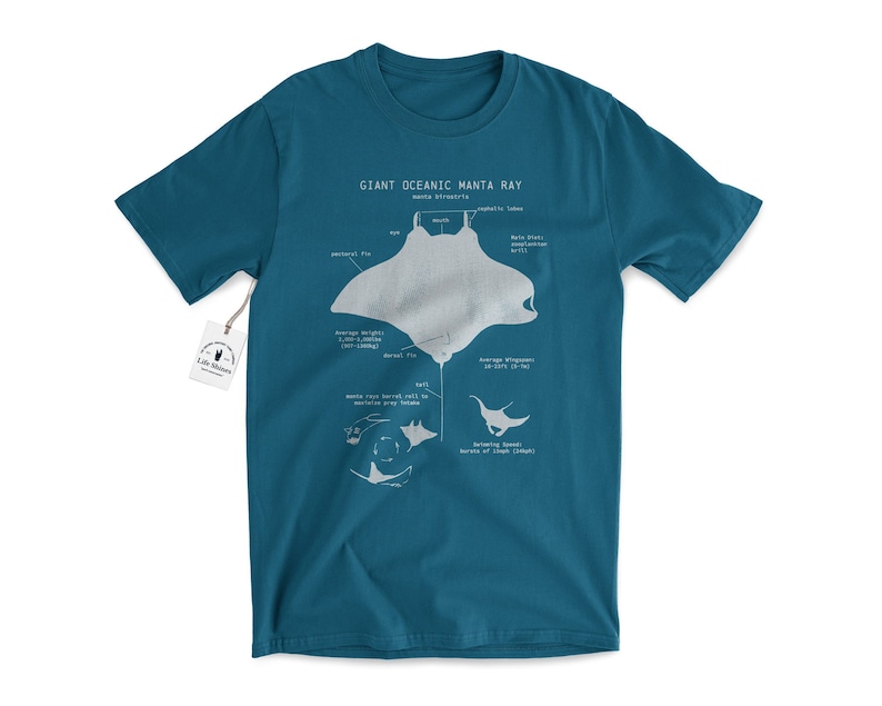 Manta Ray Anatomy T shirt, Giant Oceanic Manta Ray Shirt, Marine Biology T Shirt, Biologist Gifts, Manta Ray Gift, Sailing T Shirt Teal