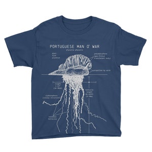 Youth Portuguese Man o' War Anatomy T-shirt, Marine Biology Youth Shirt, Science Shirt for Kids, Educational T-shirt, Animal Shirt for Kids