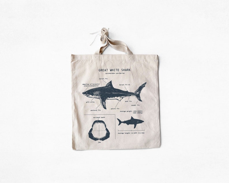 Great White Shark Anatomy Tote Bag Screen Printed Shark Tote - Etsy