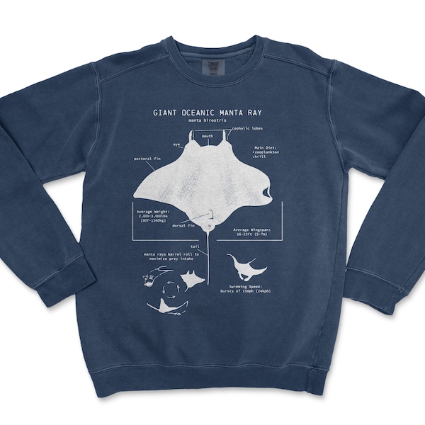 Manta Ray Anatomy Sweatshirt, Manta Ray Sweater, Marine Biologist Gift, Nautical Sweatshirt, Science Illustration, Manta Ray Gifts