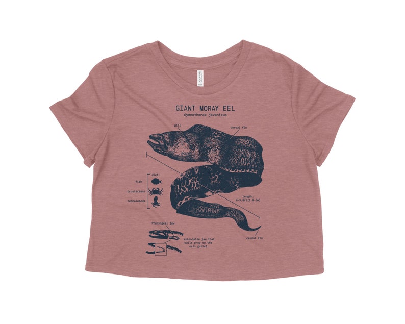 Gifts for Girlfriend Marine Biology shirt Beach Crop Top Beach Cover Up Moray Eel Shirt Giant Moray Eel Anatomy Crop Top Beach Shirt