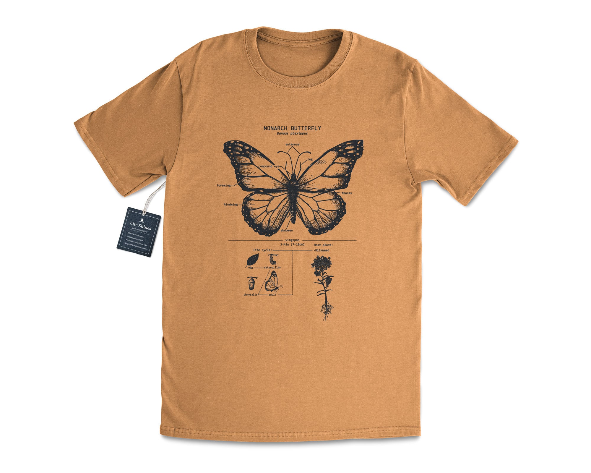 Anatomy Butterfly Monarch Gardener Lepidopterology T Shirt, T Shirt, T Shirt, Shirt, Monarch Shirt - Etsy Butterfly Botanical