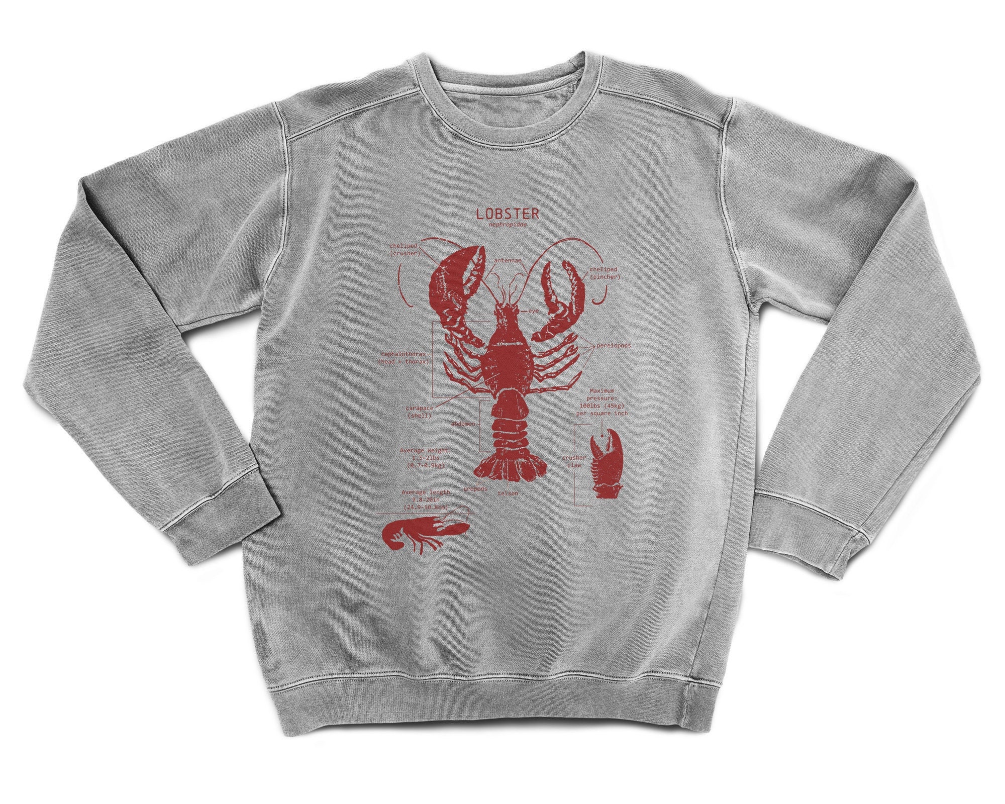 J crew lobster sweater deals