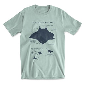 Manta Ray Anatomy T shirt, Giant Oceanic Manta Ray Shirt, Marine Biology T Shirt, Biologist Gifts, Manta Ray Gift, Sailing T Shirt Seafoam Green