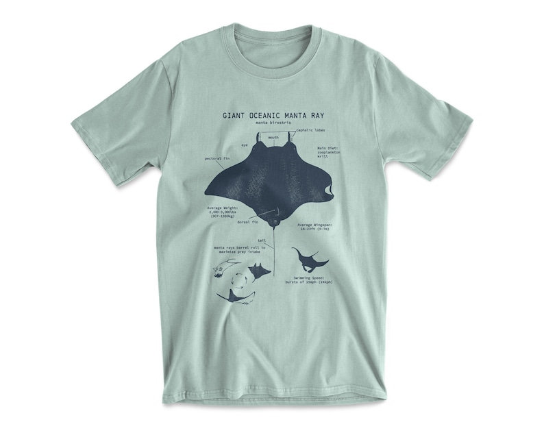 Manta Ray Anatomy T shirt, Giant Oceanic Manta Ray Shirt, Marine Biology T Shirt, Biologist Gifts, Manta Ray Gift, Sailing T Shirt Seafoam Green