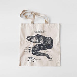 Moray Eel Anatomy Tote Bag, Giant Moray Eel Bag, Marine Biology Tote Bag, Moray Eel Gifts, Original Moray Eel Drawing Screen Print