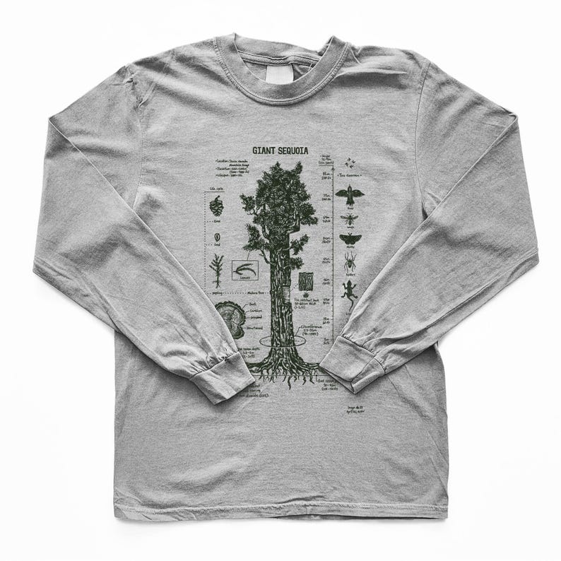 Giant Sequoia Botanical Diagram Long Sleeve Shirt: Hand Screen Printed With Water Based Inks image 3