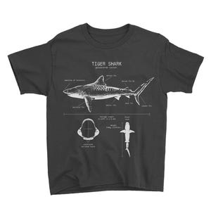 Youth Tiger Shark Anatomy T-shirt, Tiger Shark Shirt, Marine Biologist Gifts, Kids Shark Shirt, Shark Gifts for Kids, Kids Summer Shirt