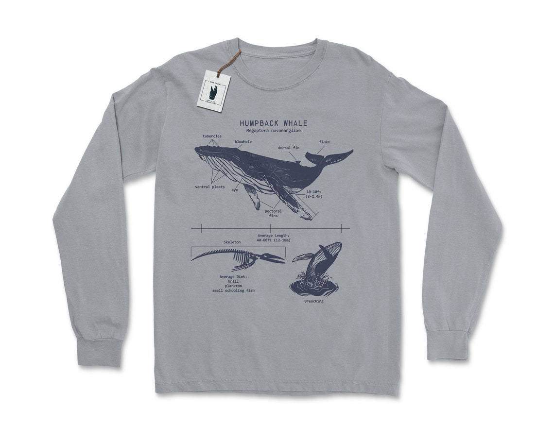 Humpback Whale Anatomy Long Sleeve Whale Shirt Marine | Etsy