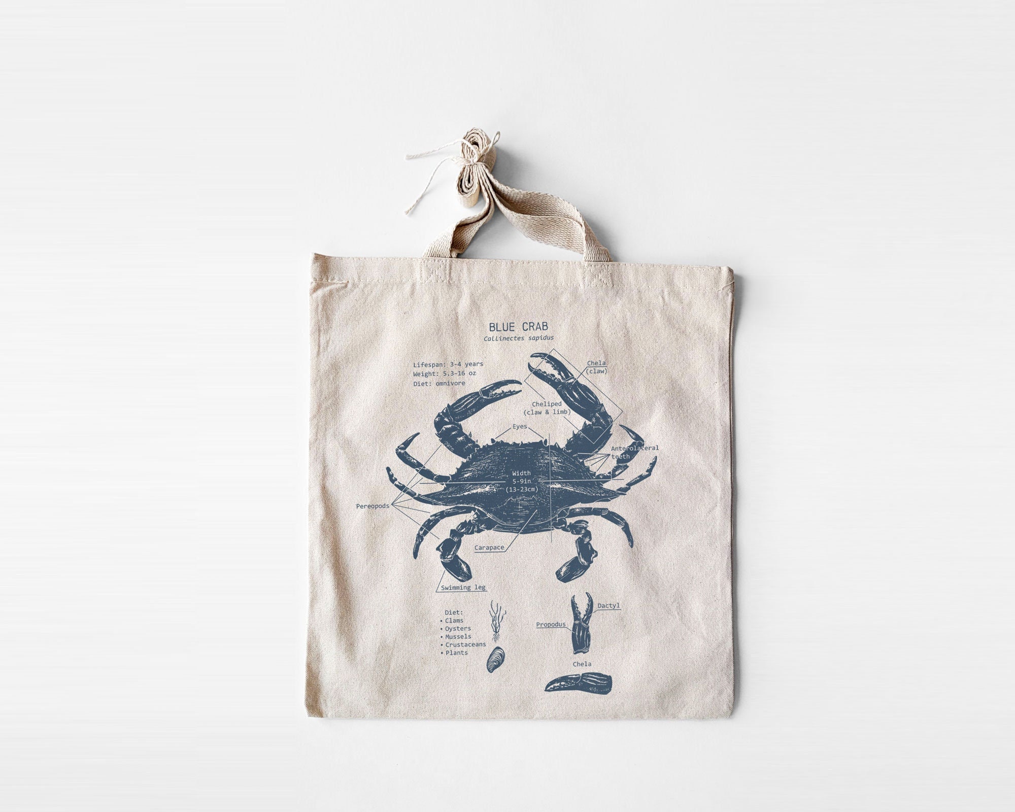 Blue Crab Anatomy Tote Bag, Chesapeake Bay Crab Bag, Maryland Blue Crab  Tote Bag, Original Crab Screen Print, Blue Crab Gift 