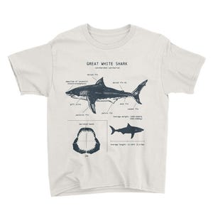 Youth Great White Shark Anatomy T-shirt, Shark T-shirt, Shark Gifts for Kids, Educational T-shirt, Wildlife Shirt for Kids, Kids Shark Shirt