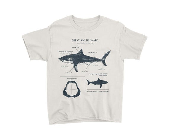 Youth Great White Shark Anatomy T-shirt, Shark T-shirt, Shark Gifts for Kids, Educational T-shirt, Wildlife Shirt for Kids, Kids Shark Shirt