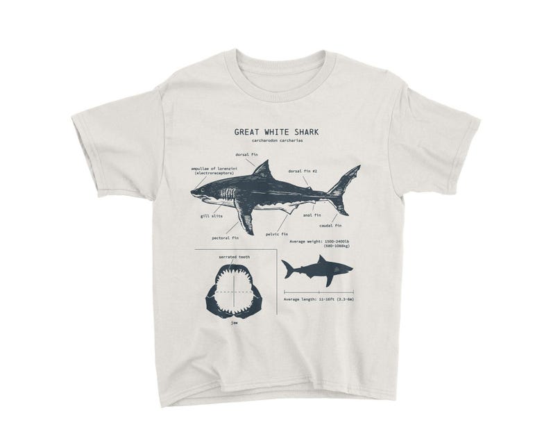 Jugend Weißer Hai Anatomisch T-Shirt, Hai T-Shirt, Hai Geschenke für Kinder, Lern-T-Shirt, Wildtier-Shirt für Kinder, Kinderhai-Shirt Bild 1