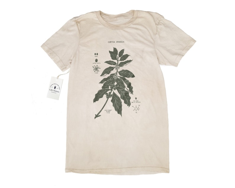 Coffee Dyed Botany Diagram T Shirt, Coffee Dyed Shirt, Screen Printed Coffee T Shirt, Botanical Coffee Art image 1