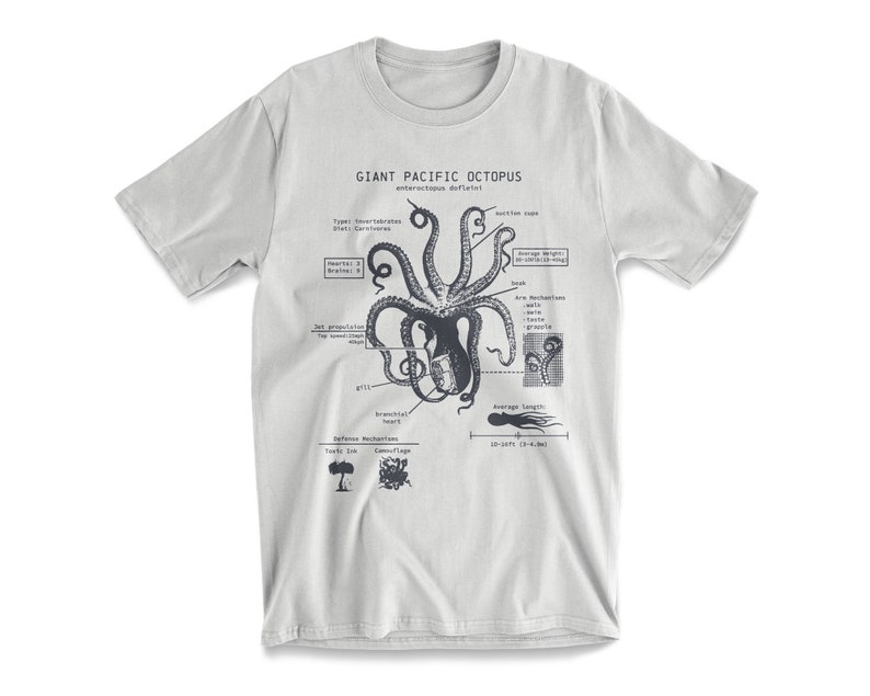 Octopus Anatomy T-shirt, Beach Tee, Octopus Shirt, Octopus Gifts, Marine Biology Gifts, Original Octopus Drawing Sterling