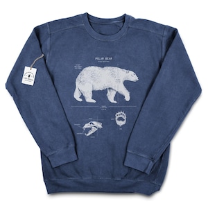Polar Bear Anatomy Sweatshirt, Polar Bear Sweatshirt, Bear Biology, Polar Bear Long Sleeve, North Pole Sweatshirt, Polar Bear Artwork