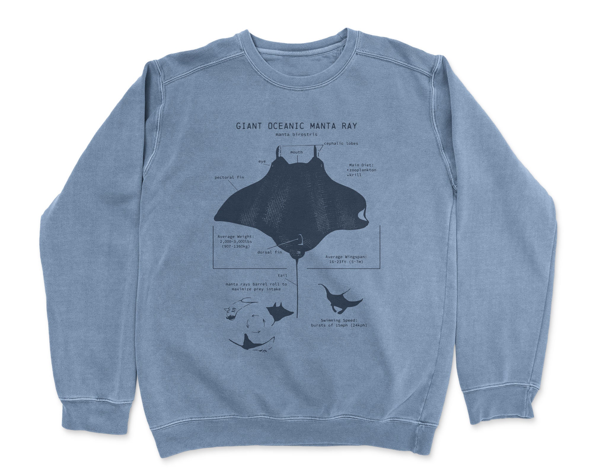 Deep Dive: Manta Ray Anatomy Diagram Explained Simply - oqck18u