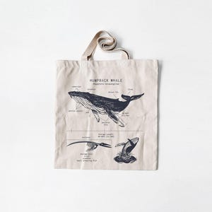 Humpback Whale Anatomy Tote Bag, Humpback Whale Tote Bag, Whale Biology, Screen Printed Whale Tote, Marine Biology Humpback Bag, Whale Art